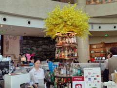 -Plush大堂酒廊(北京金融街威斯汀大酒店)