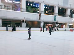 -炫采冰场(红博中央公园商场店)