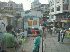 -猫咪博物馆(顶澳仔猫街店)