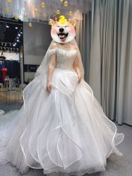 -韩国天使嫁衣婚纱礼服馆(上海旗舰店)