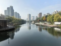 -三里屯东五街银杏大道