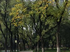 -渭滨公园