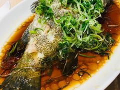 -海港酒家(始创中心店)