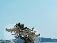 -青岛第一海水浴场