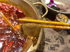 -小龙坎火锅(春熙太古里店)