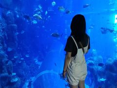 -成都浩海立方海洋公园