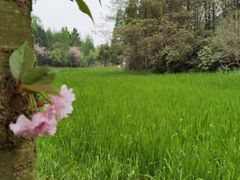 -贵阳市花溪国家城市湿地公园