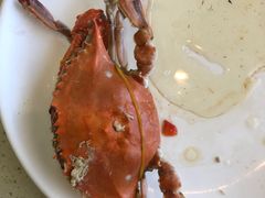 -港畔赶海蒸汽海鲜烧烤自助(仙螺岛店)