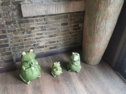 -保丽宝泰母婴护理院·月子中心·产康·中医(常州店)