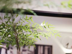 -Joymean coffee.见面咖啡