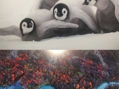 -罗红摄影艺术馆