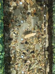 -钓虾工场·钓虾·赶海(回龙观店)