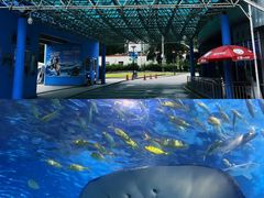 -太平洋海底世界