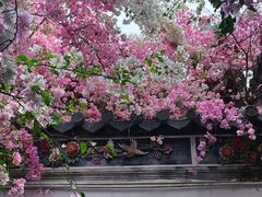 -深圳国际园林花卉博览园