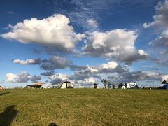 -春花秋色城市公园