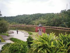 -神光山国家森林公园