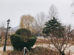-睦南公园