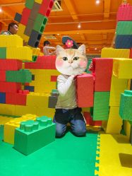 -宝燕乐园(闵行旗舰店)