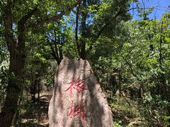 -北京上方山国家森林公园