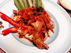 南亚风情椒麻鸡-BetterThai 泰加(苏州中心店)