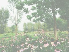 -东郊湿地公园