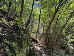-四明山国家森林公园
