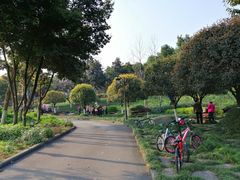 -大渡口区义渡公园