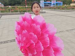 -曹州牡丹园