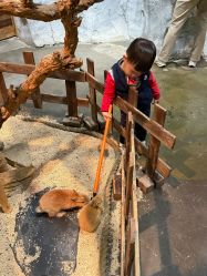 -Zoolung Zoolung动物主题公园(海信广场店)