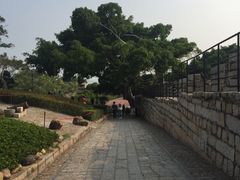 -胡里山炮台