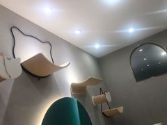 -飞行喵MR PILOT|猫舍·猫咖(静安大融城店)