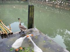 -香山小厨(南联路店)