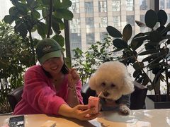 -百好乐宠物友好餐厅(朝外大街店)