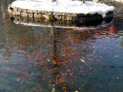 -水磨沟公园