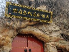 -大槐树寻根祭祖园