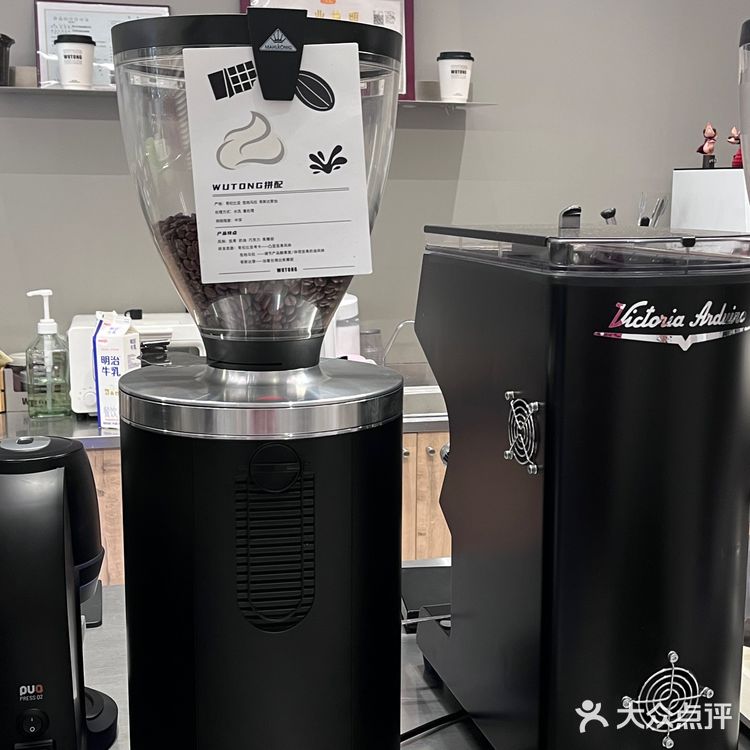 衢州本土咖啡店打卡‼️梧桐cafe是秋天的归属🍂