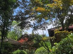-麦积山温泉