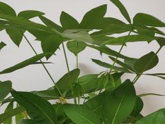 -铁西广场(地铁站)