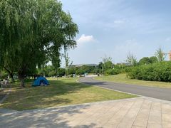 -九里河湿地公园