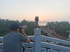 -宝安西湾红树林湿地公园