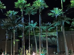 -三亚红色娘子军演艺公园景区