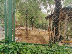 -青藏高原野生动物园