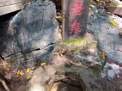 -九龙潭景区