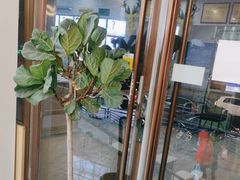 -德标艾诺口腔(敦化路店)