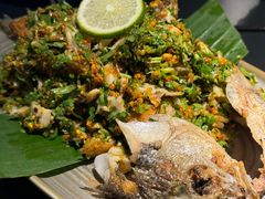 -Ameigo梅果·云贵川bistro(长宁来福士店)