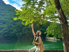 -龙道沟景区