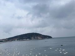 -烟墩角天鹅湖