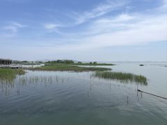 -苏州太湖国家湿地公园