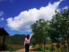 -翠矶山公园