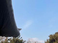 -团结湖公园